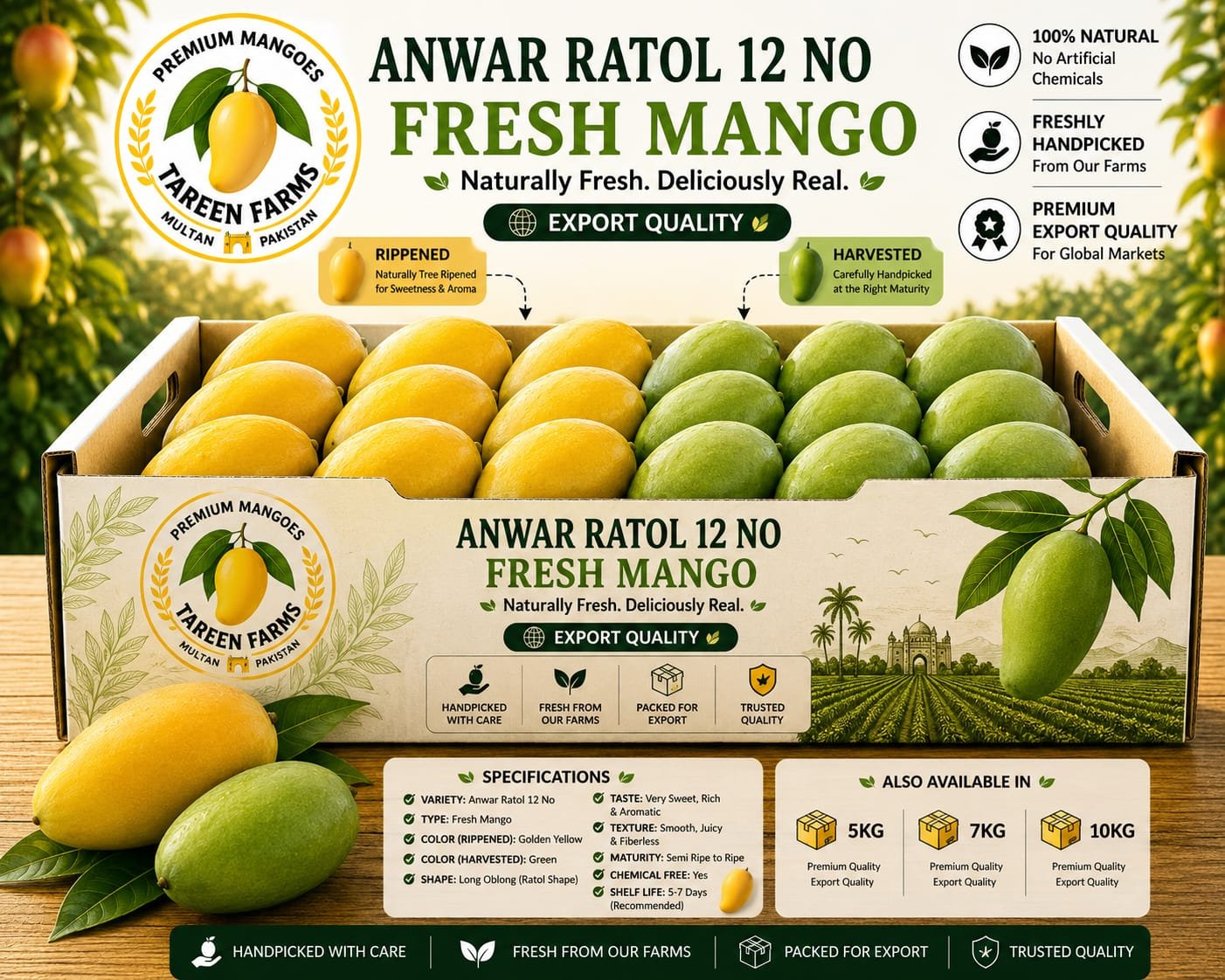 Anwar Ratol 12NO.