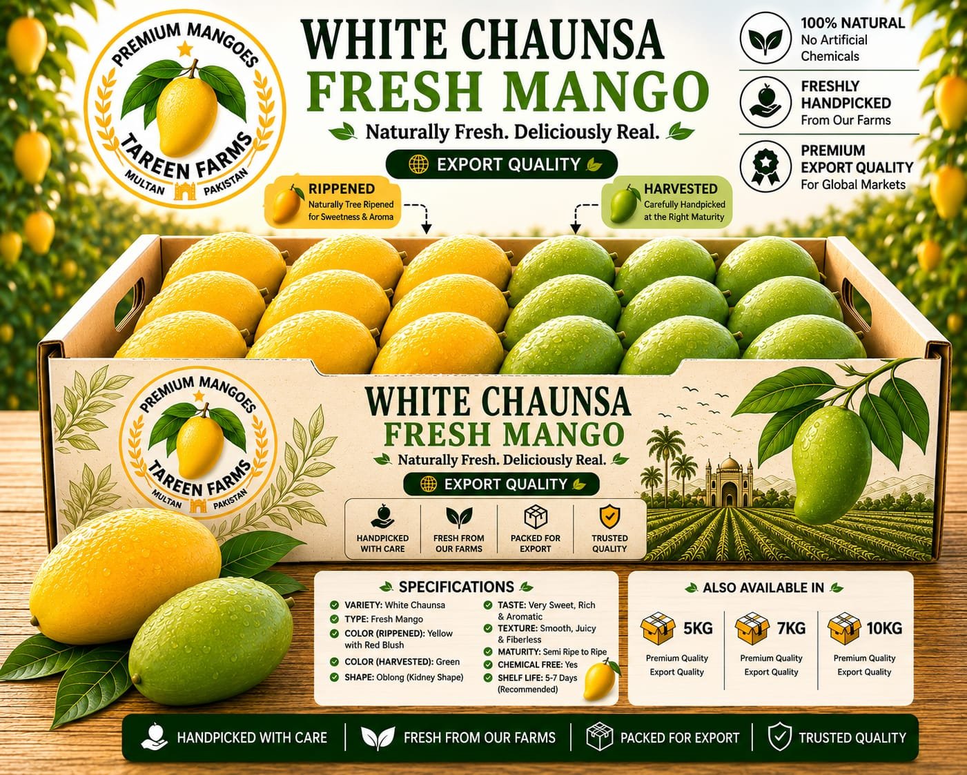 White Chaunsa or Nawabpuri Chaunsa  or Golden Chaunsa